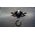 Zwilling Zatyczka do butelki od szampana Zwilling Sommelier - 6cm
