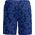 Męskie Szorty Print Brdshrt 18"  fiery red/white/french blue rozmiar 34