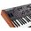 Sequential Prophet Rev2 8-voice