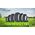 Opona rolnicza Gripking SWT TT 14PR