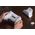 8BitDo Ultimate 2 Wireless BT game controller, PC/Switch, white