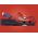 Crocs Team Spiderman All Terain Kids Clog 208786-410 Κόκκινο 32/33