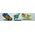 Crocs Crocband Clog K 207006-6GD Różowe 34/35