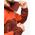 Kurtka GORE-TEX Mountain Equipment Lhotse Jacket - firedbrick/cardinal