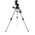 Celestron Advanced VX Mount Τηλεσκοπική ράβδος στήριξης