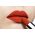 Christian Dior, Rouge Dior, Velvet, Κραγιόν Κρέμας, 777, Fahrenheit, 3.5 g Για Γυναίκες
