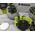 Zegarek G-SHOCK Zegarek Casio G-Shock G-SQUAD GBD-H2000-1A9ER GPS Tętno Kroki