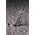 MILWAUKEE SDS PLUS DRILL 10x 265mm /10pcs MX4