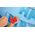 Tesa tesa Easy Cut Handabroller bis 33m 19mm rot-blau, leer