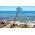 Puluz Metalowy uchwyt do selfie 2m PULUZ do kamery Insta360 One RS/X2/X3/X4 (czarny)