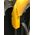 Σιδερώστρα Joseph Joseph Glide Compact Plus Easy-Store 110cm μπλε