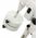 Αντίβαρο Sky-Watcher 5,2 kg EQ6