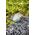 Oase 34064 AquaOxy 250 Perlator 250 l/h