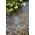 Oase 34064 AquaOxy 250 Perlator 250 l/h