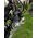 GIRLANDA OGRODOWA PARTY LIGHT 20LED