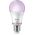 Philips Wiz Full Color Smart LED Bulb E27 3 gab. balta - Vieda spuldze