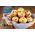 Φόρμα για cupcakes 12 τεμ. με χαρτί ψησίματος Bake Away 27 x 35 x 3 εκ. 8006043000566