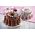 Φόρμα Cupcake Marquise Sweet Magic O24 5x10cm 8006043014983