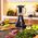 Blender kielichowy Cecotec Power Black Titanium 2500MAX Go