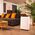 Osuszacz powietrza Cecotec BigDry BigDry 10000 Expert Connected