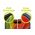 Mobile Origin EasyGlass Samsung Galaxy S25 Ultra