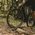 Opona GOODYEAR - County Ultimate Tubeless Complete 650bx50 27.5x2.0/50-584 k. Blk/Tan