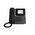 Gigaset P810B IP PRO