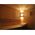 SAUNA PINE WOOD LIGHT FIXTURE SHADE