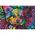 PUZZLE DREW 501EL TREFL KOLOROWY SZCZENIAK PUD6