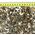 Gravel Dark Coarse, �wirek, do akwarium, ciemny, 3-6 mm, 10 kg