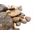 WIO Elderly Gravel, �wir, dekoracyjny, szary/czarny/bia�y,  2kg, worek