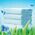Płyn do płukania Silan 3x Płyn do płukania tkanin SILAN Fresh Sky 40 prań 880 ml