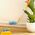 (DE) Swiffer Miotełka do kurzu XXL rączka + 1 wkłady (PRODUKT Z NIEMIEC)
