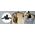 Uchwyt Klips Do Blendy Fotograficznej Parasolki 5/8" 3/8" 1/4" K&f Concept / Kf18.0014
