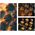 Filtr Kalejdoskop Kaleidoscope 6x Na 67mm 67 K&f / Sześciokątny Hexagonal / Kf01.2805v1
