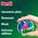 Persil Discs Color Kapsułki do prania kolorowych tkanin 4w1, 13 sztuk