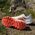 Ανδρικά παπούτσια για τρέξιμο Adidas TERREX Agravic 3 - ftwwht/seimor/dshgry