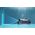 Aiper Scuba X1 Pro Cordless Robotic Pool Cleaner