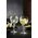 GIN TONIC GOBLET 27433020006 ALKEMIST