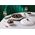 Le Creuset Cuguna katls sekls 30cm / 3 5L balts 0024147315490