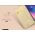 Dux Ducis Etui Dux Ducis skin leather LG Q8 złote