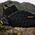 Ανδρικά παπούτσια Adidas TERREX Trailmaker 2 Mid GTX - core black/carbon/grey four