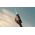 Philips Series 6500 HX7411/02 Rechargeable Sonic Electric Toothbrush, Adult, Sonic toothbrush, Daily care, Sensitive, Whitening, 62000 movements per minute, Black, 2 min, 4 x 30 sec