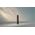 Philips Series 6500 HX7411/02 Rechargeable Sonic Electric Toothbrush, Adult, Sonic toothbrush, Daily care, Sensitive, Whitening, 62000 movements per minute, Black, 2 min, 4 x 30 sec