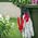 Kerra Helpy Cart 50L 59 5x53x88 5cm peleka 8003507762114