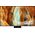 SAMSUNG TV NeoQLED 85in QE85QN70FAUXXH