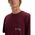 Billabong Στοιβαγμένο Arch Tee EBYZT00175-RSN0 Μπορντό M