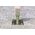 Fischer 40806, Δομικός γόμφος, Σκυρόδεμα, M8, ETA-07/0211, 55 mm, 8 mm