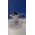 Bodum Bodum Tea Press  ASSAM F/PLST 1,5 Liter