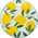 Komplet 6 talerzy obiadowych Lemon 27 cm